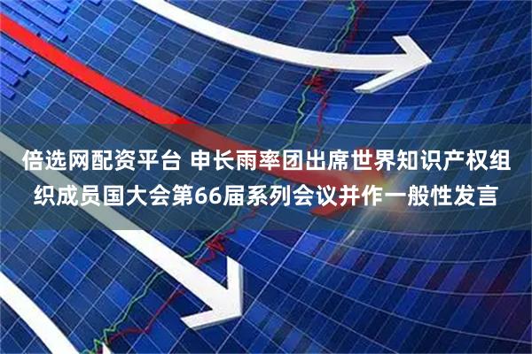 倍选网配资平台 申长雨率团出席世界知识产权组织成员国大会第66届系列会议并作一般性发言