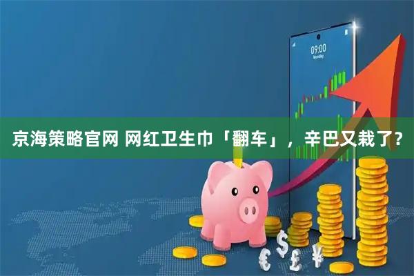 京海策略官网 网红卫生巾「翻车」，辛巴又栽了？