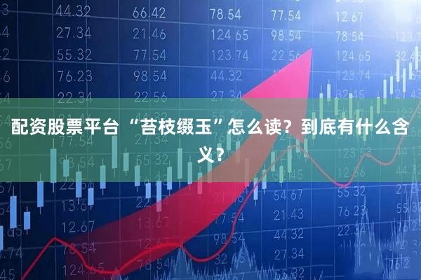 配资股票平台 “苔枝缀玉”怎么读？到底有什么含义？