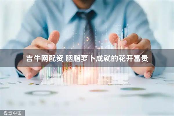 吉牛网配资 胭脂萝卜成就的花开富贵