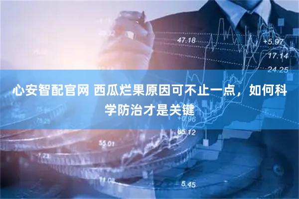 心安智配官网 西瓜烂果原因可不止一点，如何科学防治才是关键