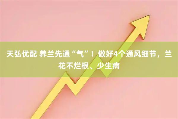 天弘优配 养兰先通“气”！做好4个通风细节，兰花不烂根、少生病